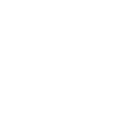 Homepage Newsome Academy